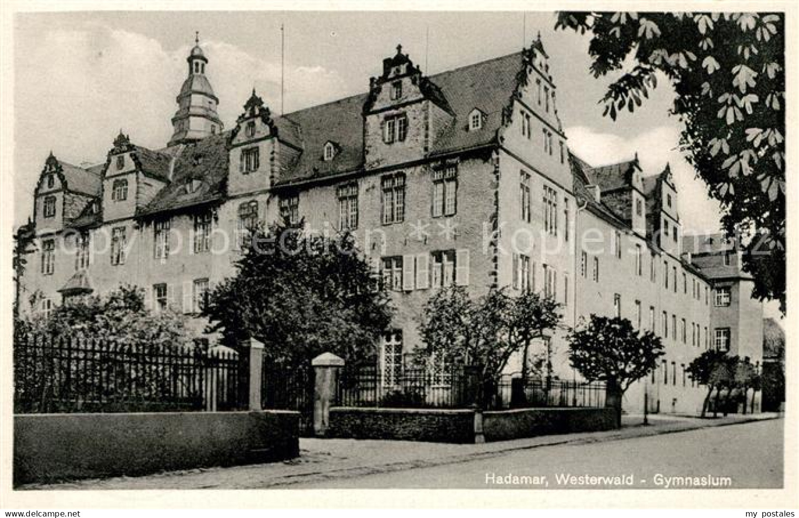 Hadamar Westerwald Gymnasium
