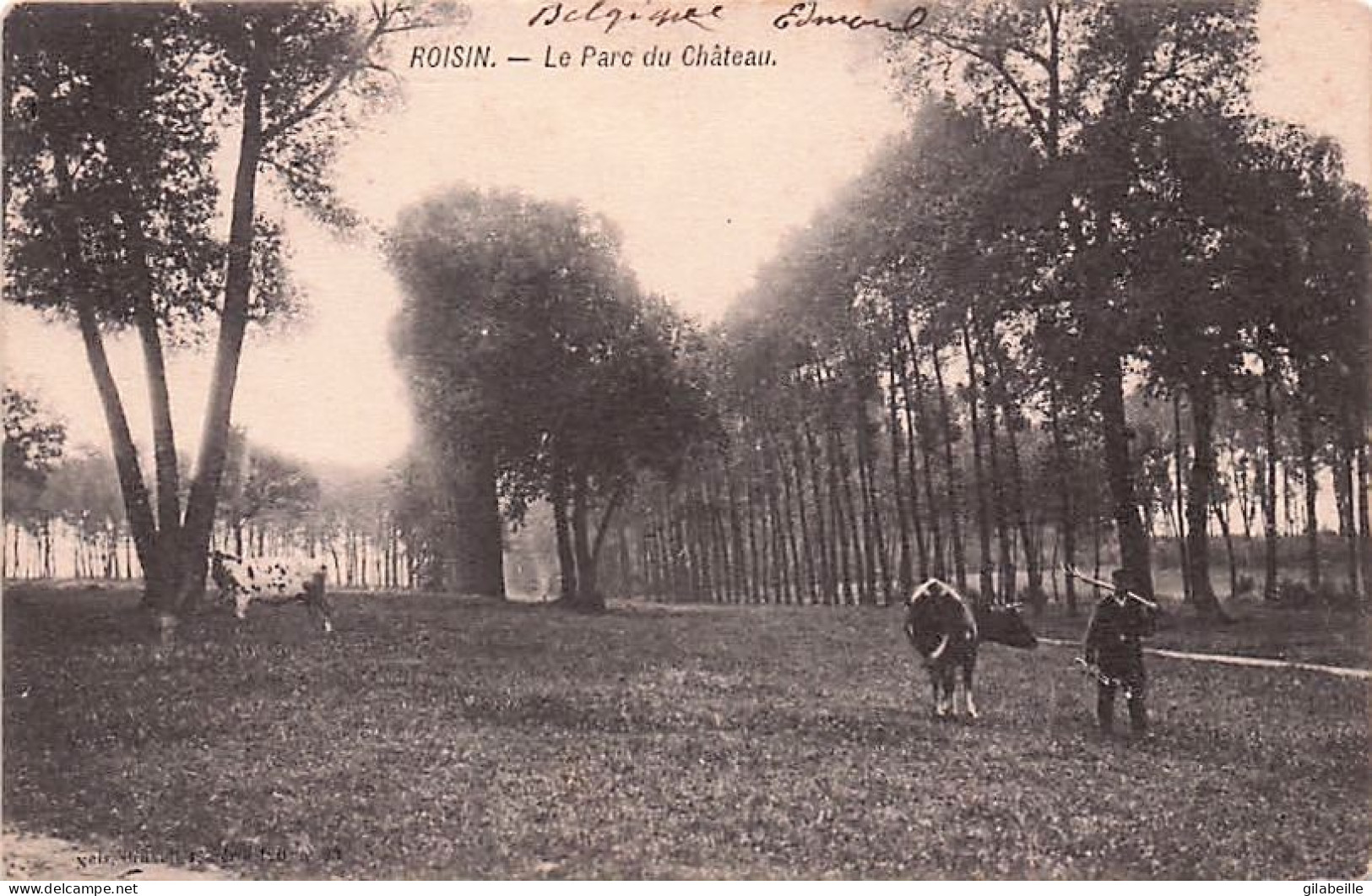 Hainaut - Honnelles -  ROISIN - le parc du chateau - 1908