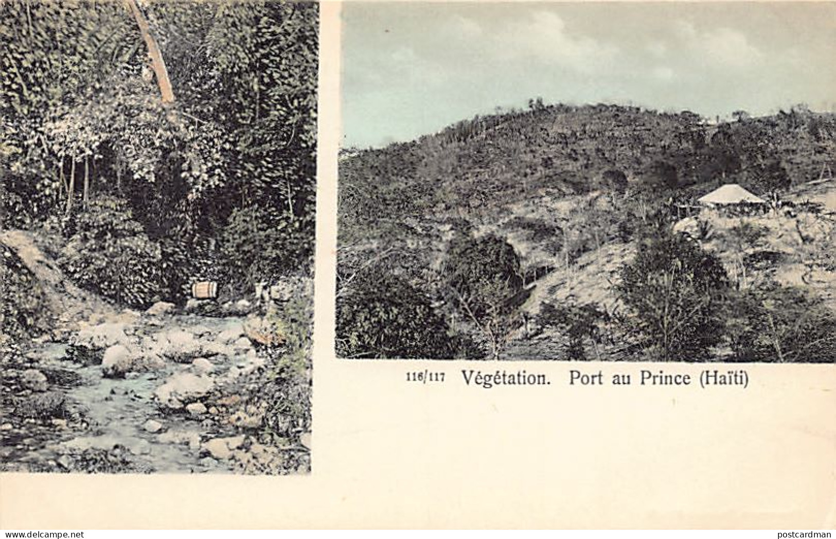 HAÏTI - Port au Prince - Végétation - Ed. Pharmacie centrale d'Haïti