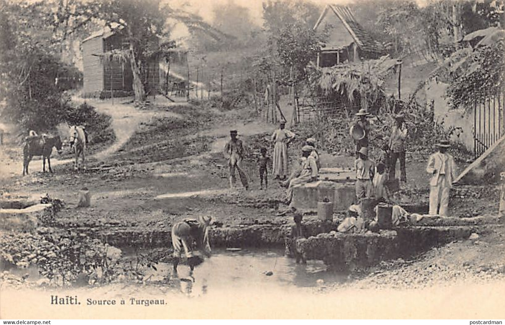 Haïti - Source à Turgeau - Ed. inconnu