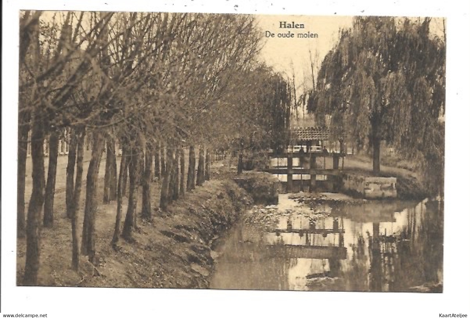 Halen - De oude molen.