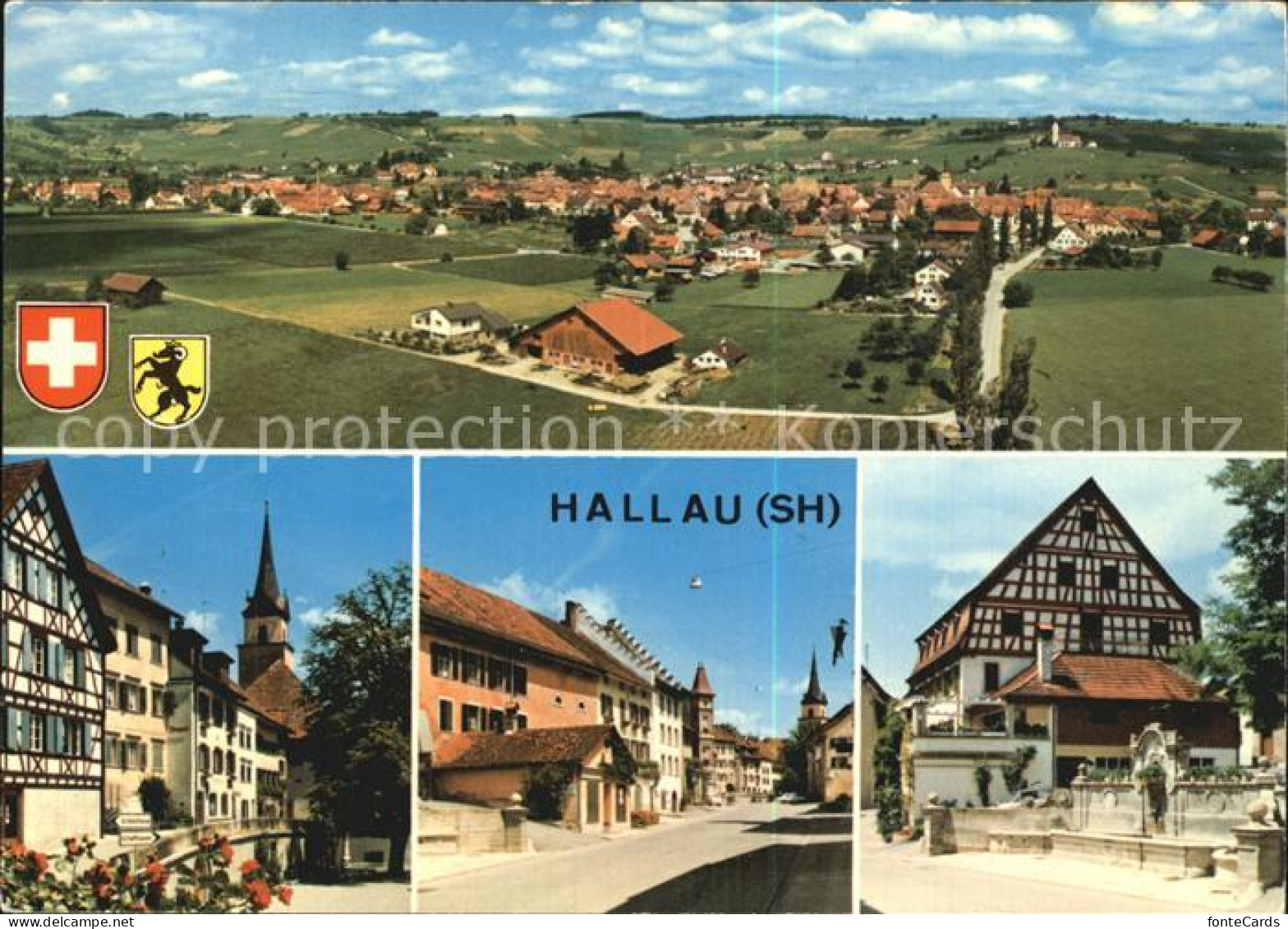 Hallau