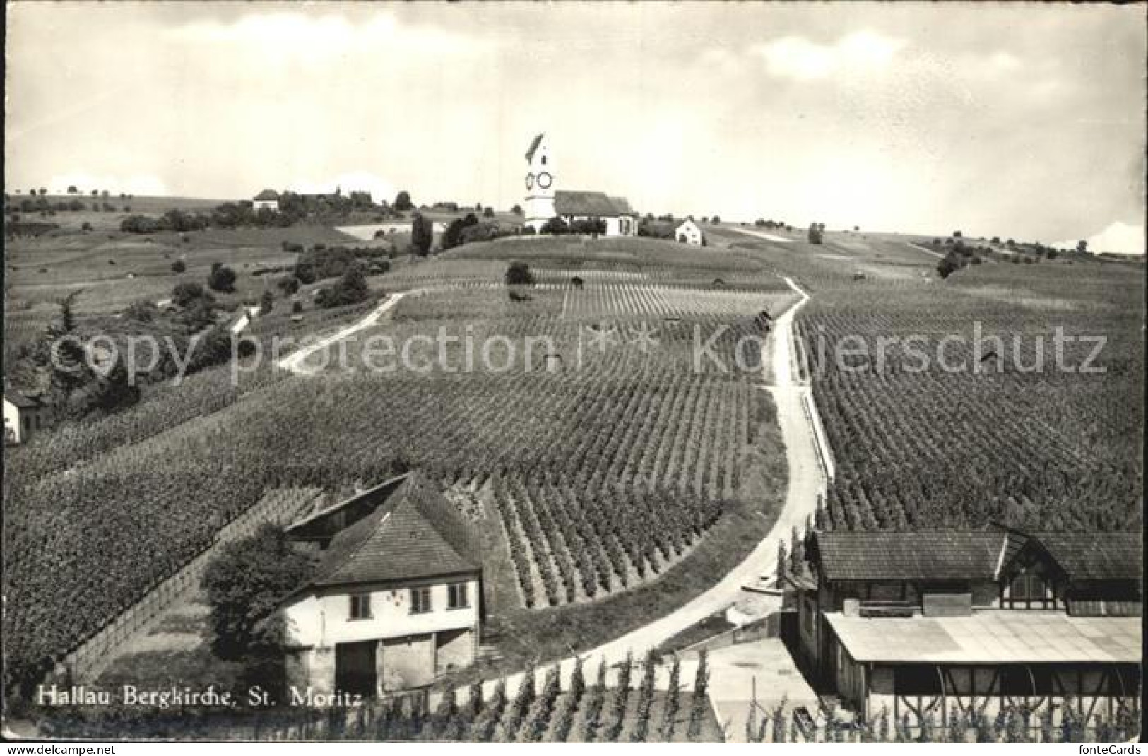Hallau Bergkirche Sankt Moritz