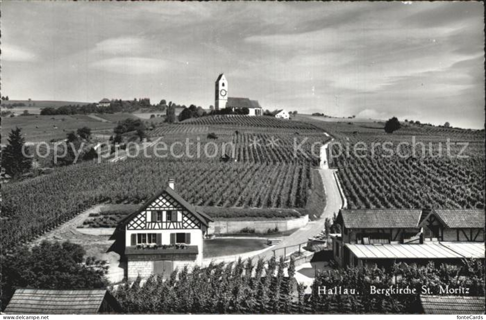 Hallau Bergkirche Sankt Moritz