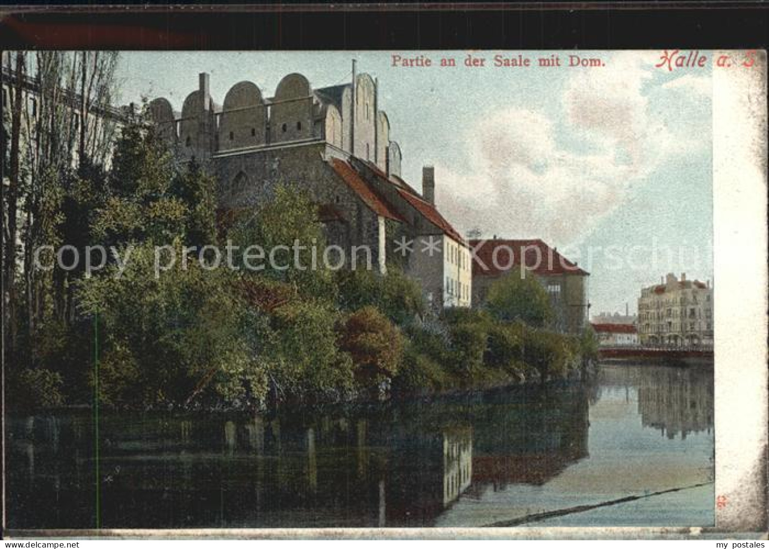 Halle Saale Partie an der Saale mit Dom