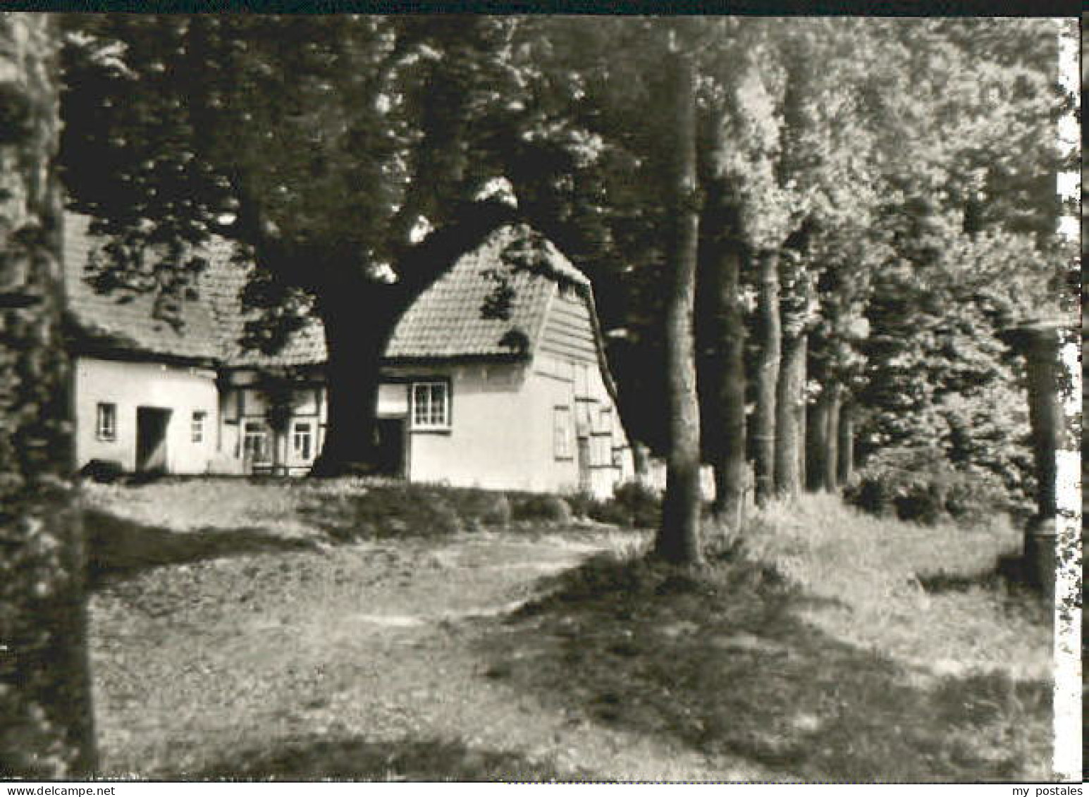 Halle Westfalen NRW Halle