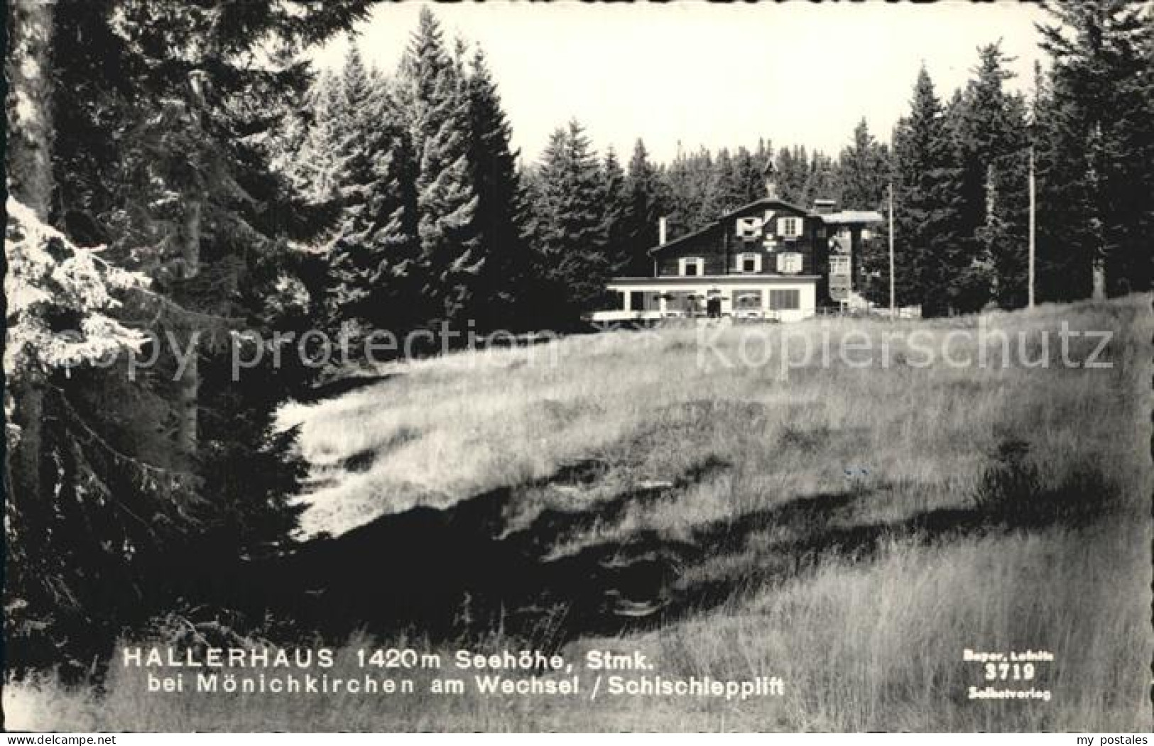 Hallerhaus Wechsel
