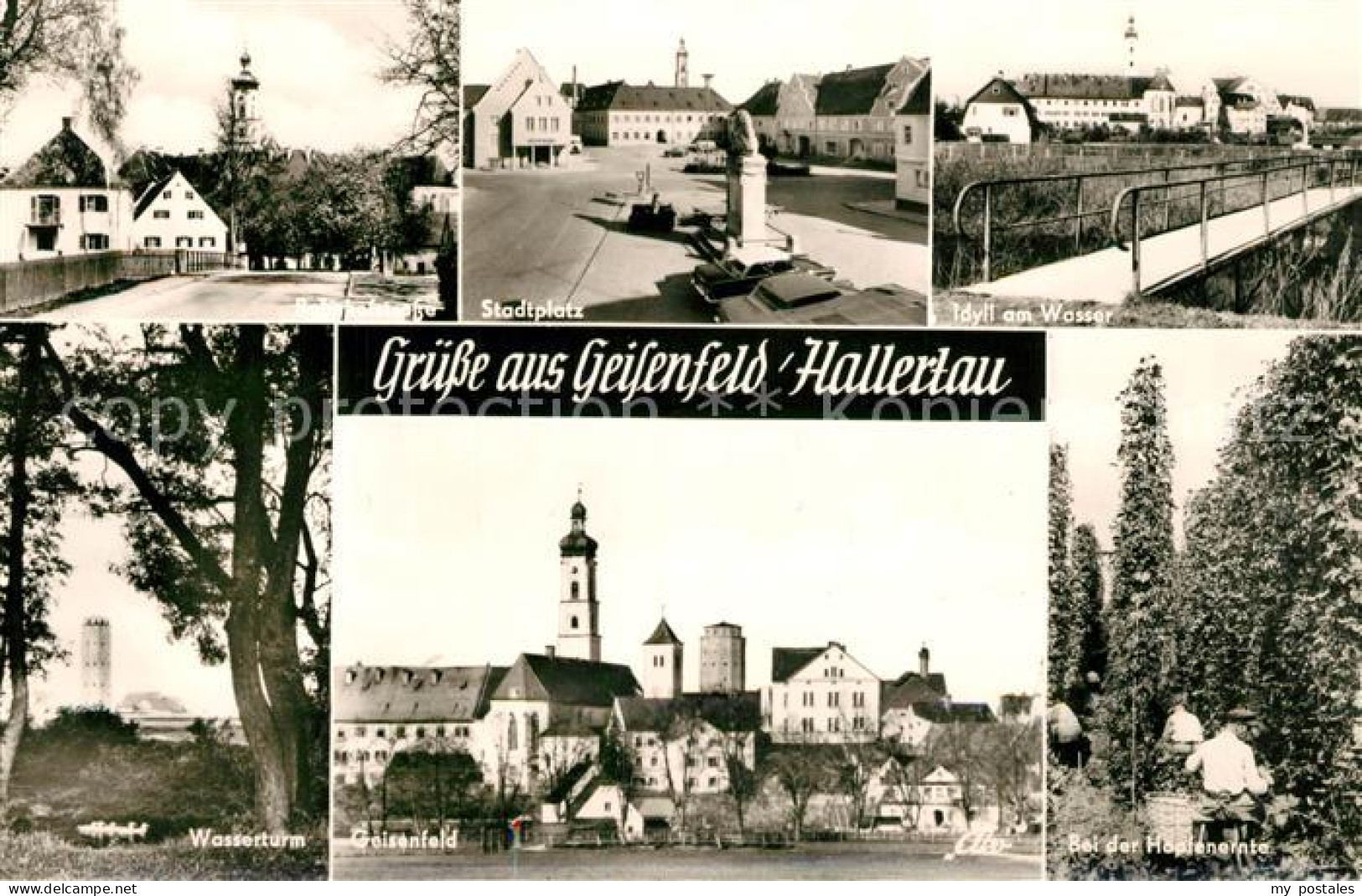 Hallertau Stadtplatz Idyll am Wasser Wasserturm Geisenfeld Hopfenernte