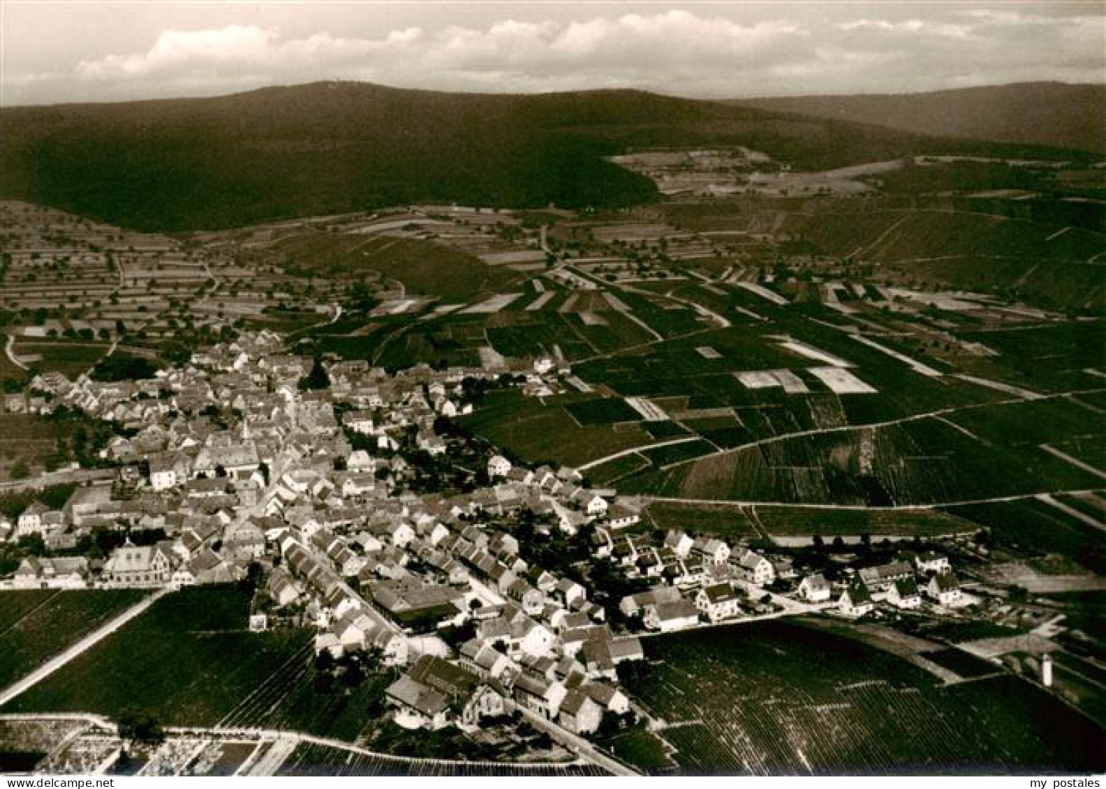 Hallgarten Rheingau Fliegeraufnahme