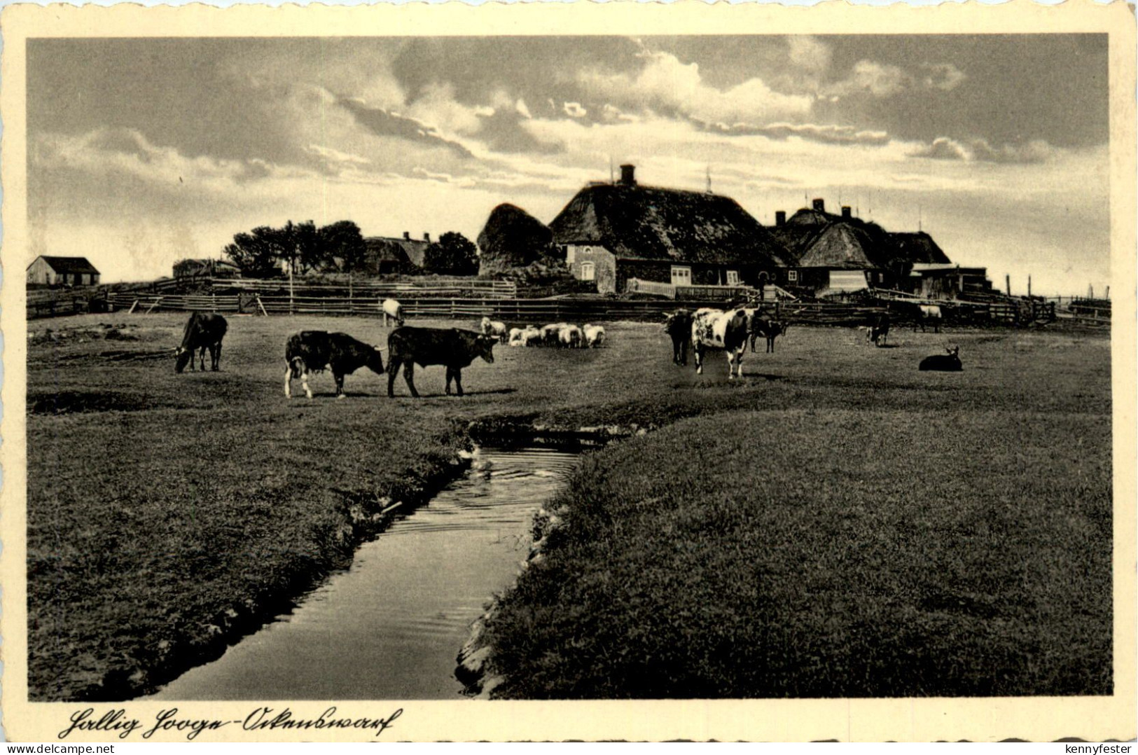 Hallig Hooge