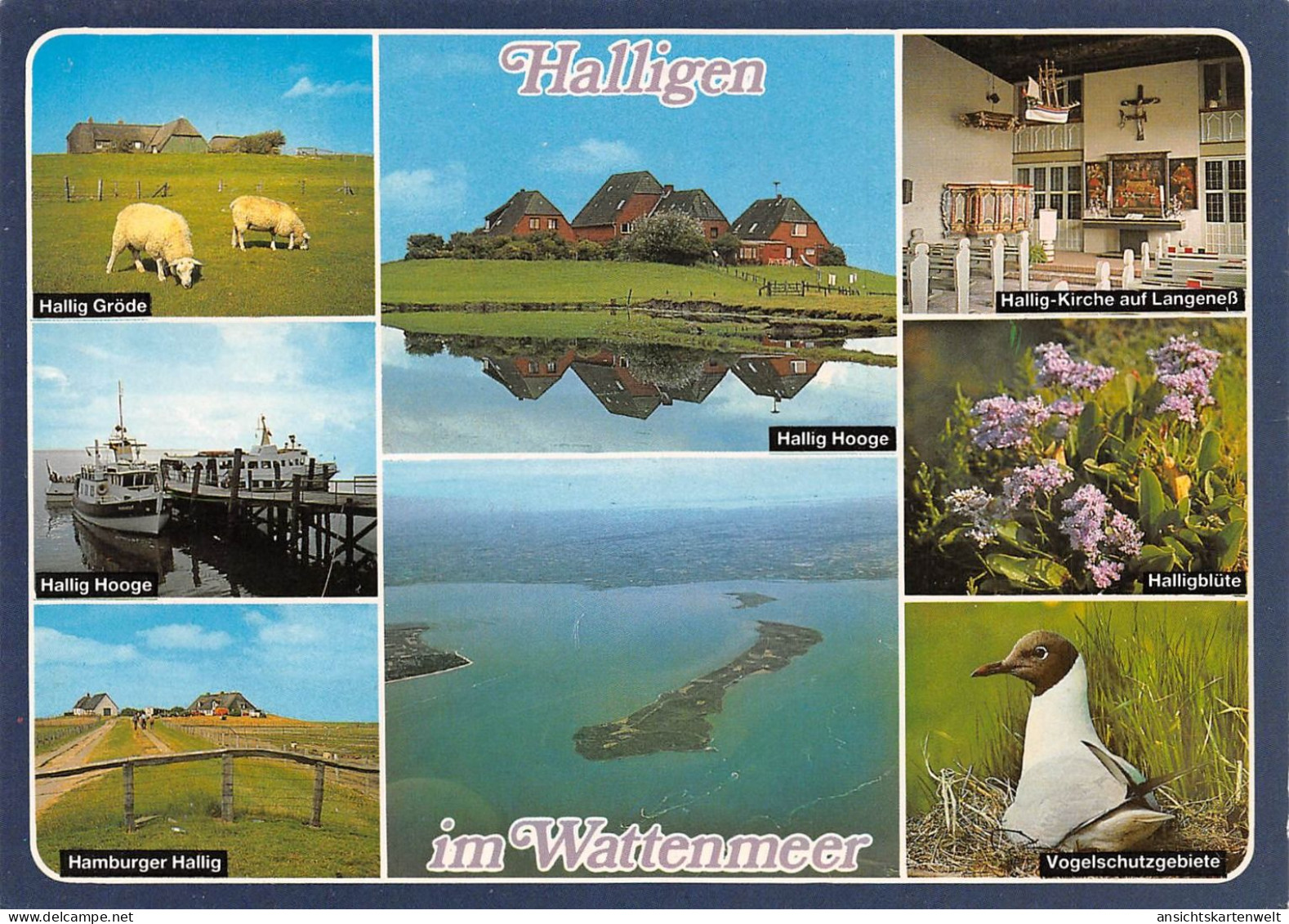 Halligen Mehrbildkarte ngl #175.326