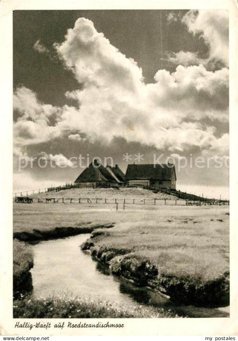 Halligen Nordsee Warft Gehoeft
