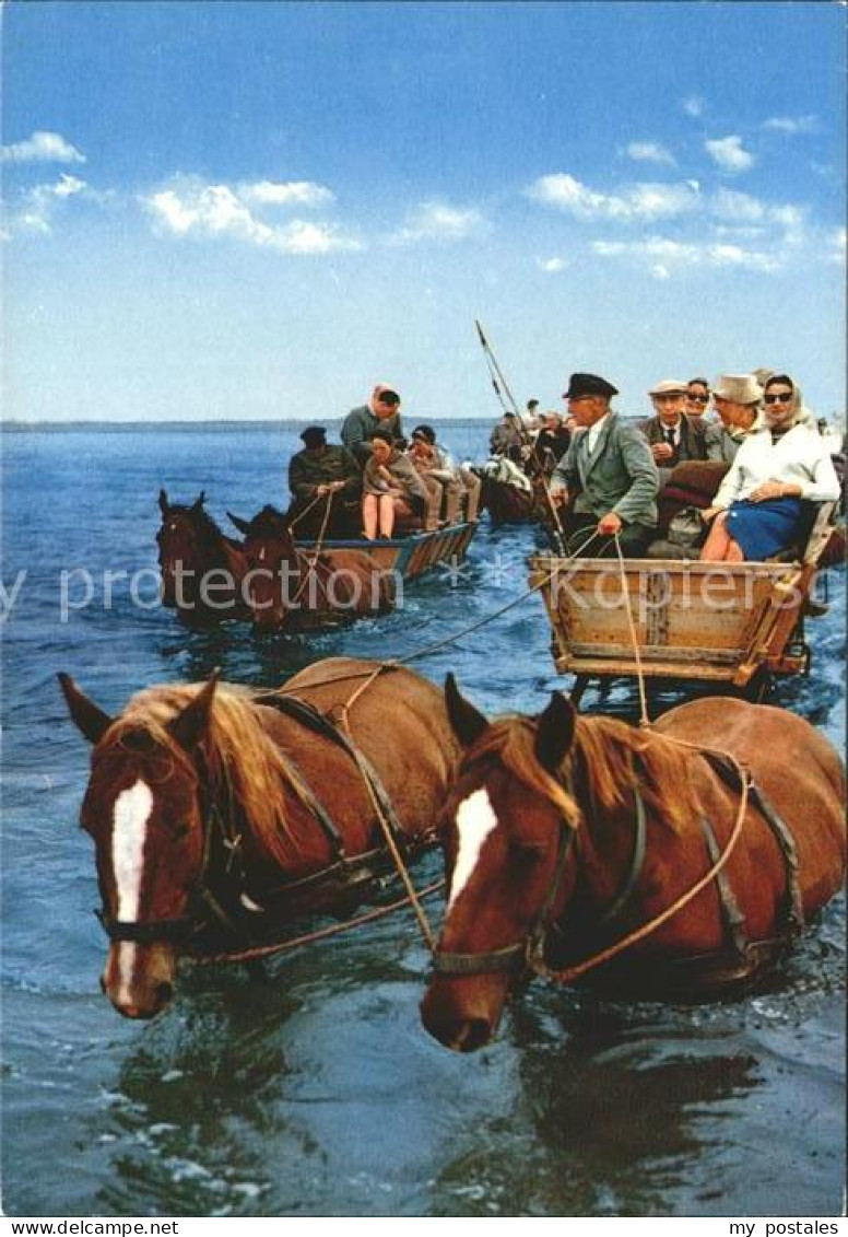 Halligen Nordsee Wattwagen bei aufkommender Flut