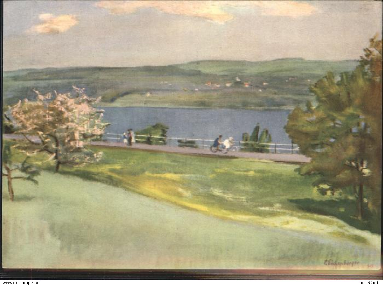 Hallwil Hallwilersee