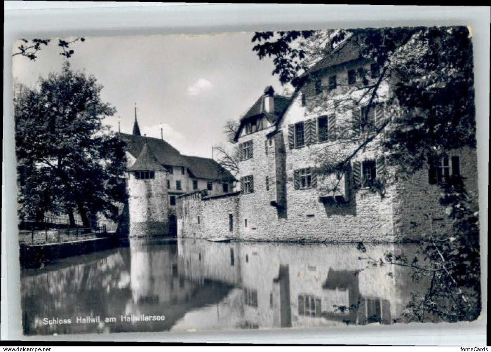 Hallwil Hallwilersee