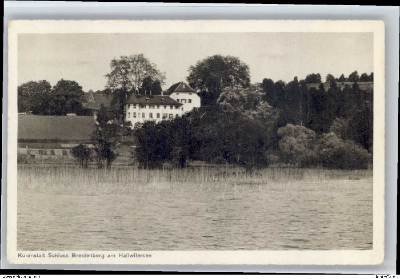 Hallwil Kuranstalt Schloss Brestenberg Hallwilersee