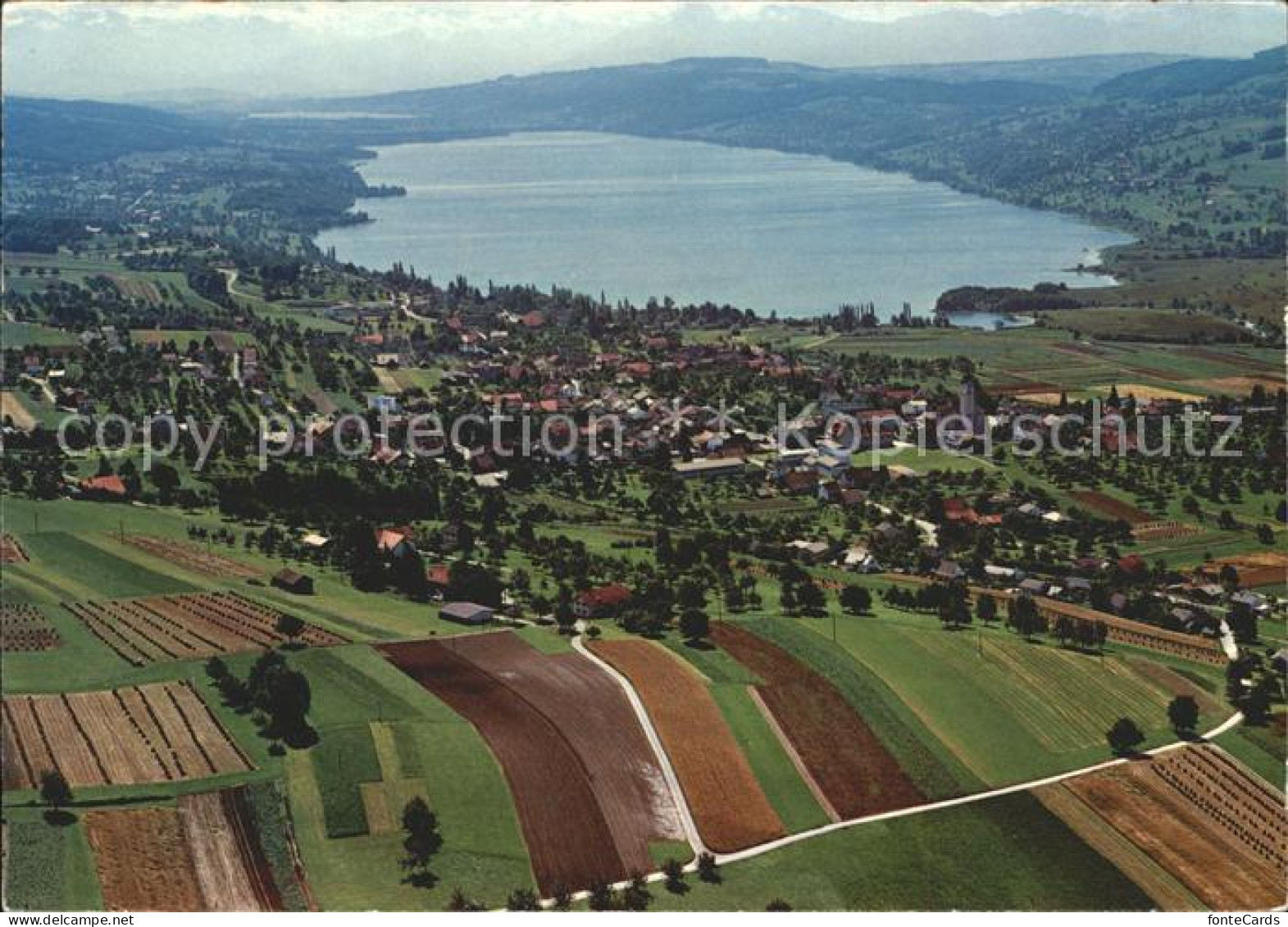 Hallwilersee