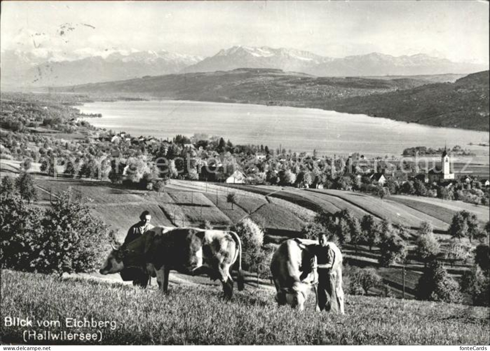 Hallwilersee Blick vom Eichberg