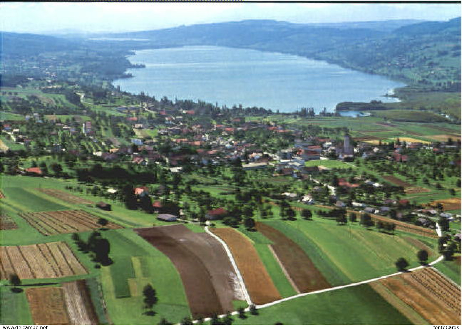 Hallwilersee Fliegeraufnahme