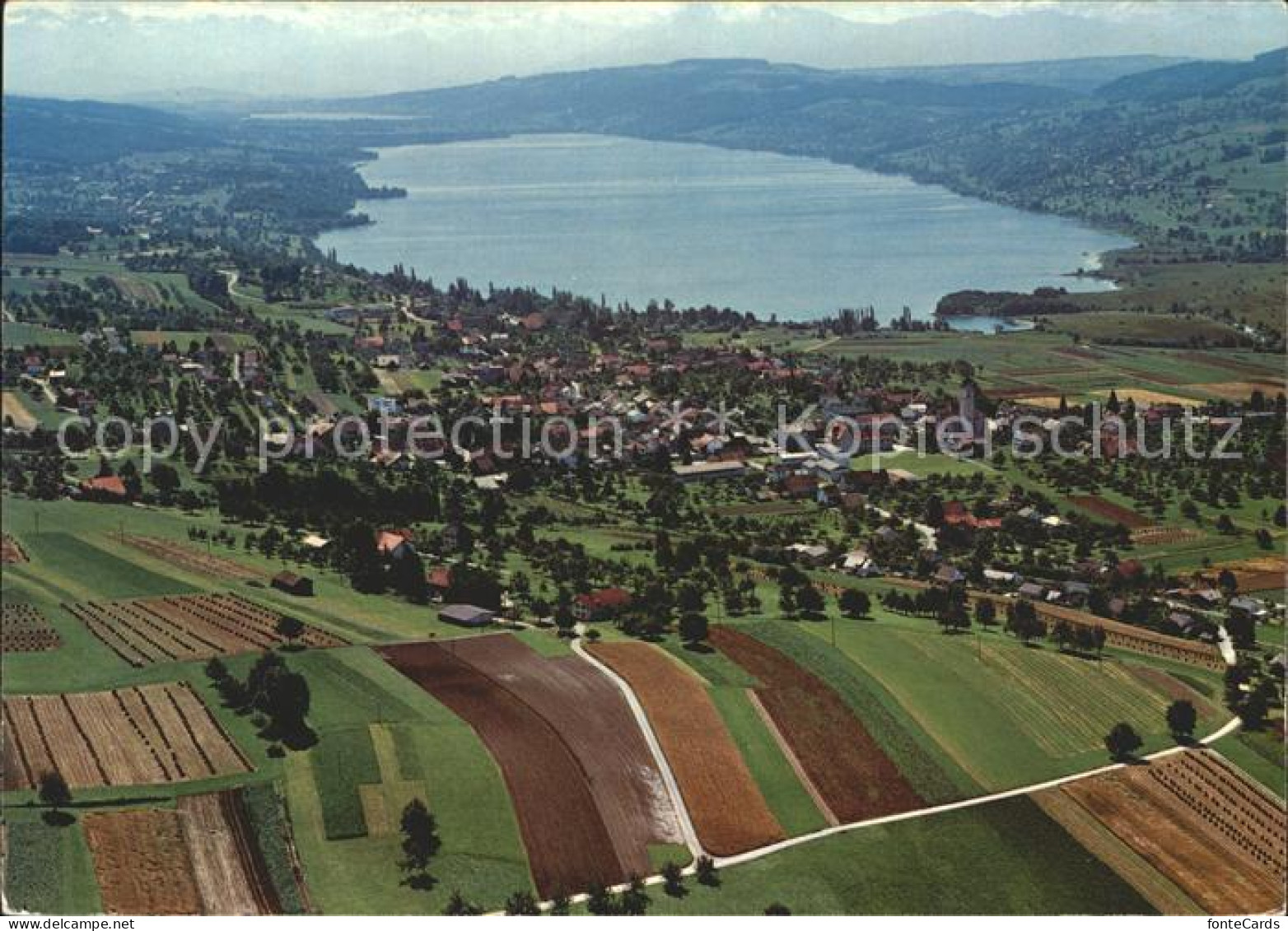 Hallwilersee Fliegeraufnahme