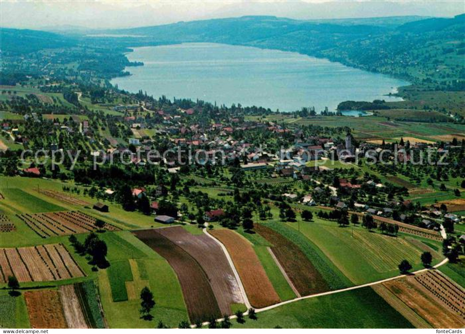 Hallwilersee Fliegeraufnahme