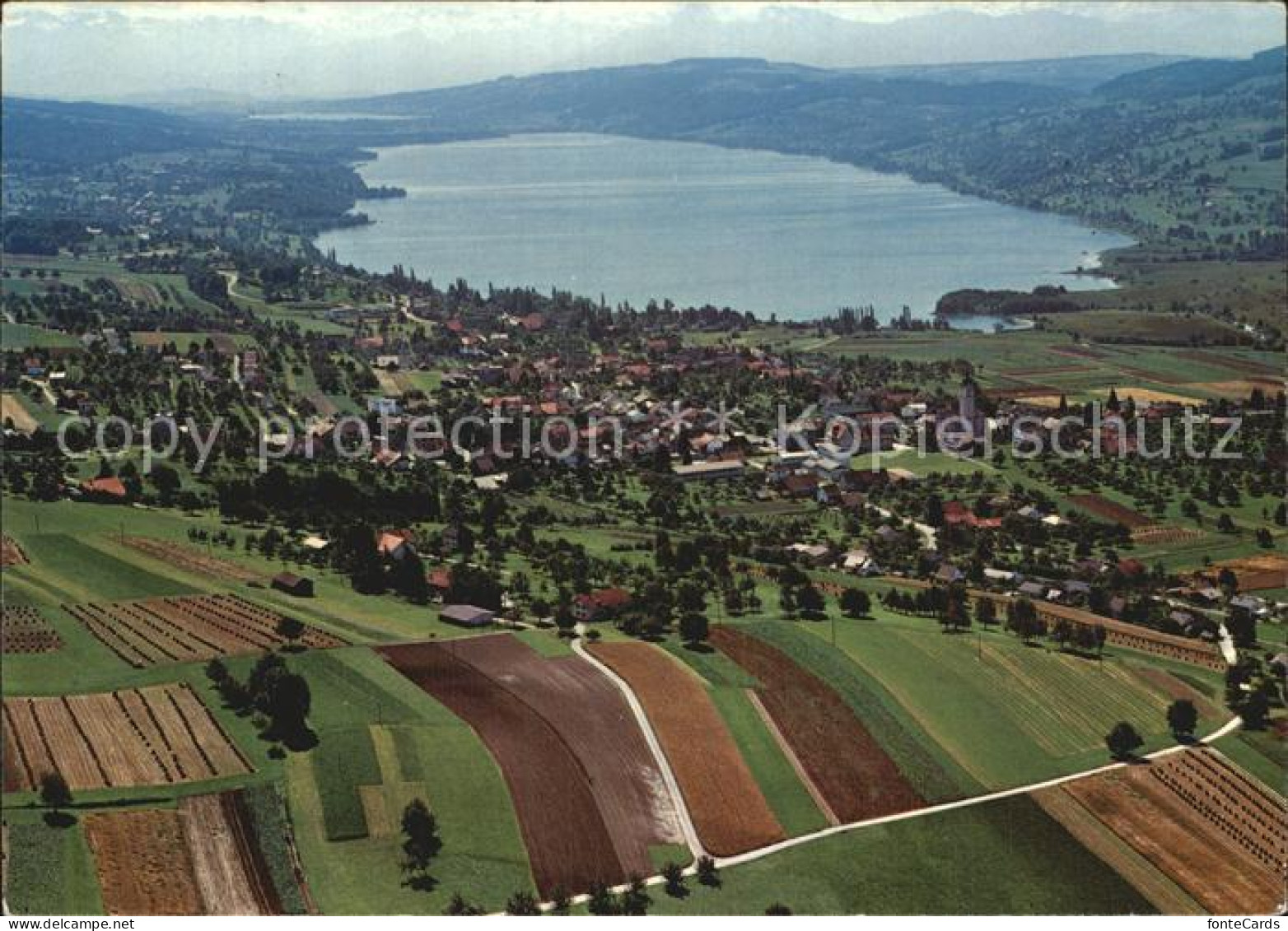 Hallwilersee Fliegeraufnahme