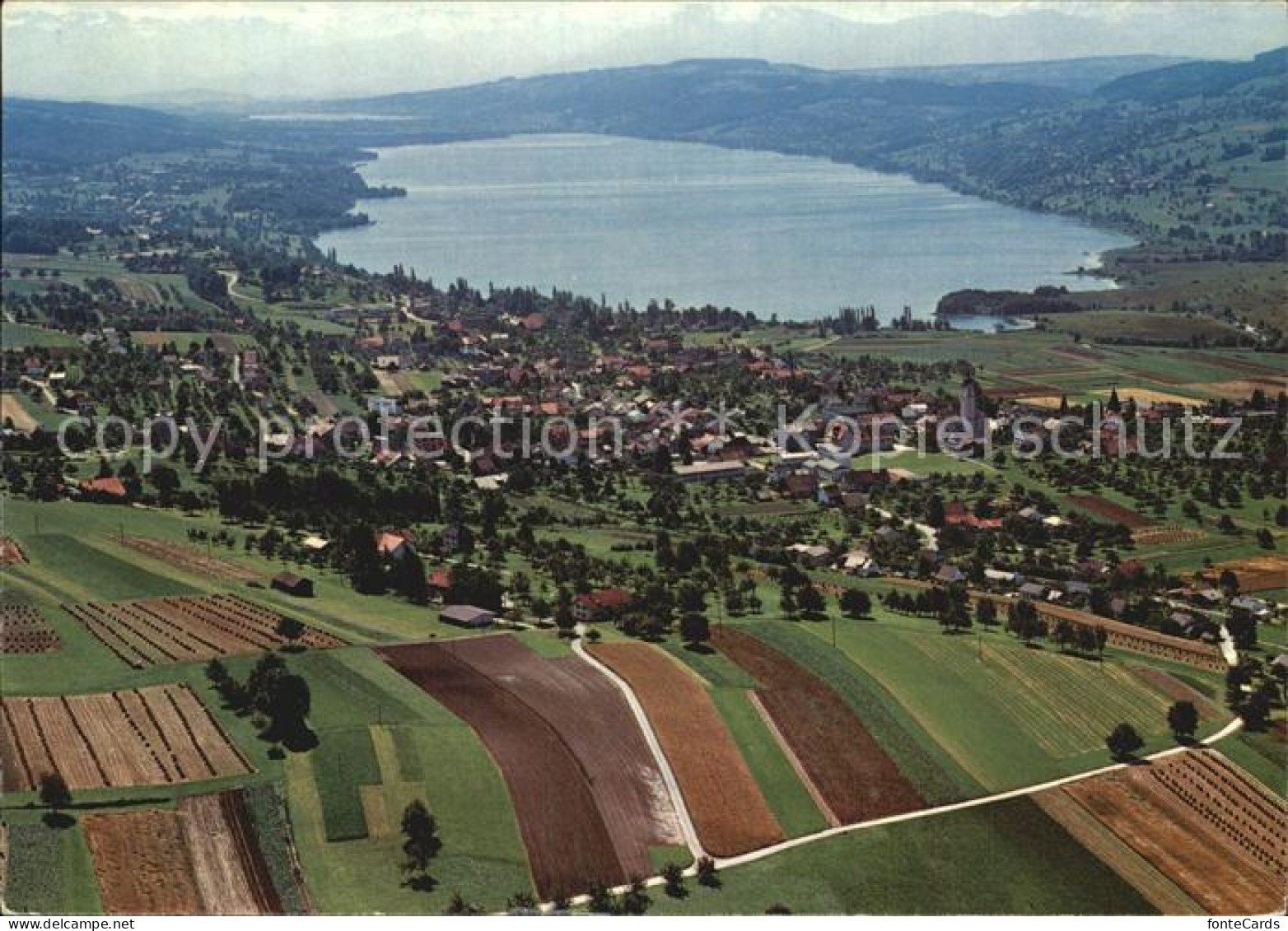 Hallwilersee Fliegeraufnahme