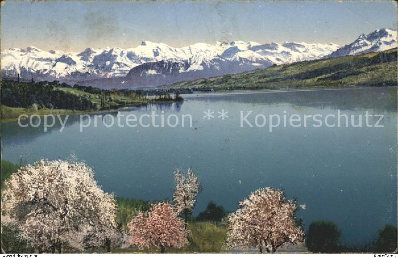 Hallwilersee im Seetal mit Alpenpanorama