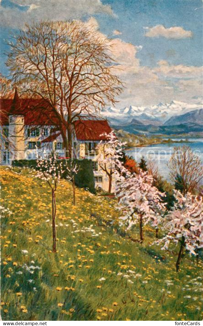 Hallwilersee Kurhaus Schloss Brestenberg