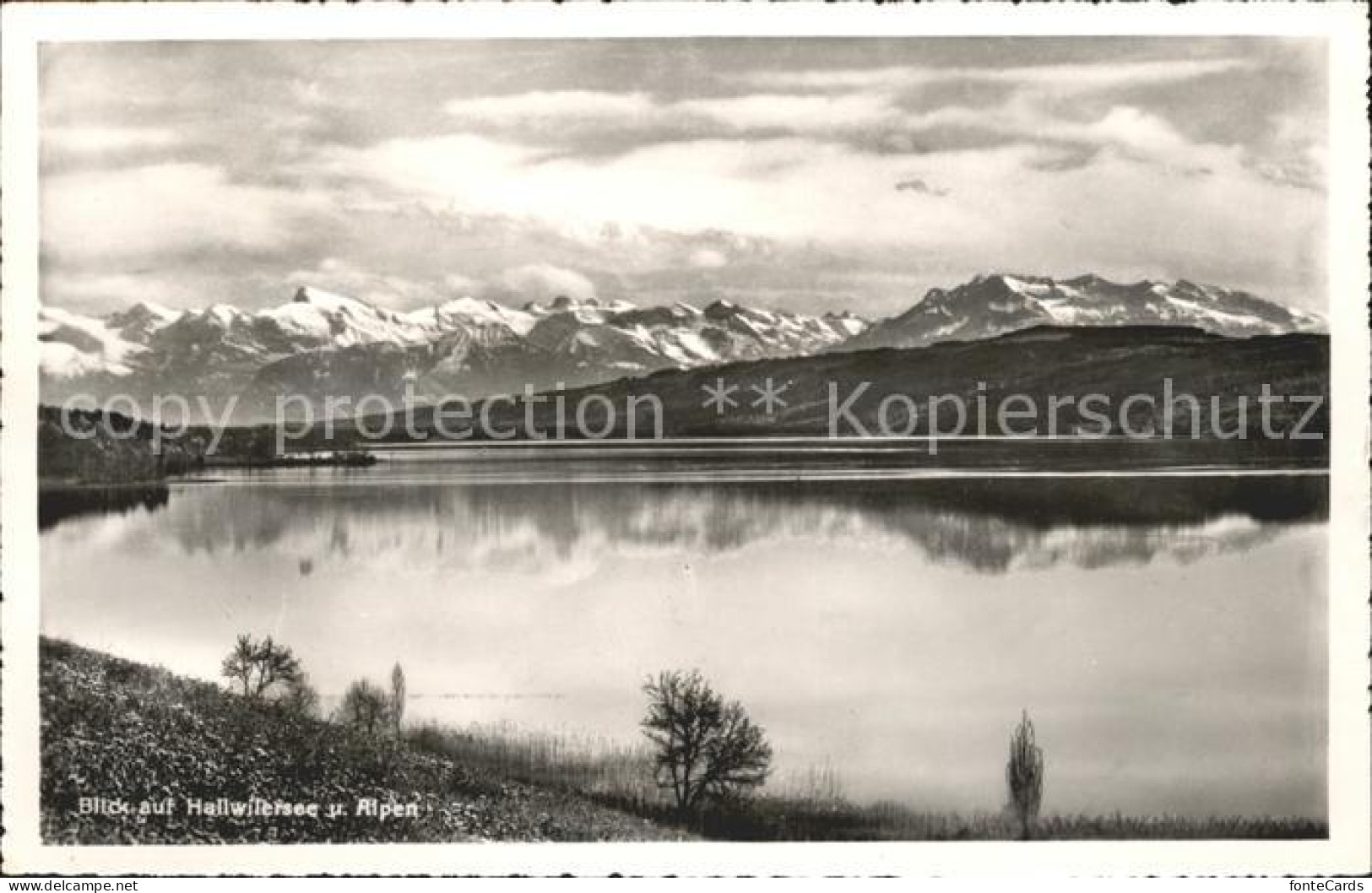 Hallwilersee mit Alpen