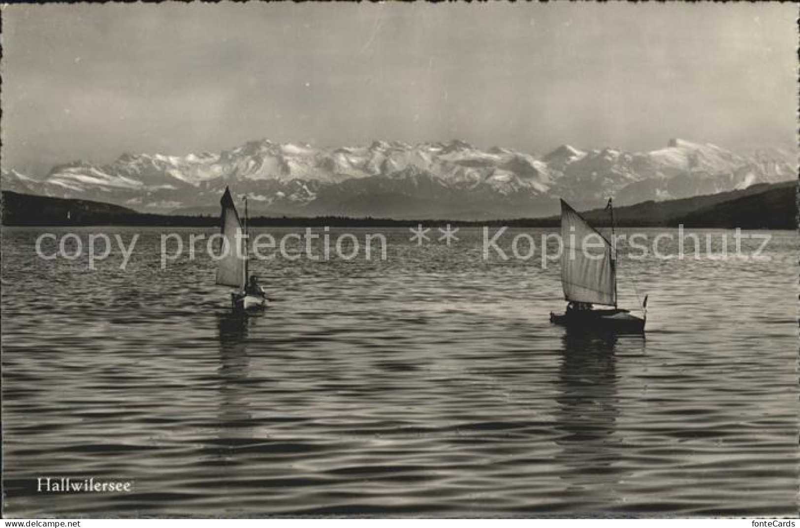 Hallwilersee mit Segelbooten und Alpen