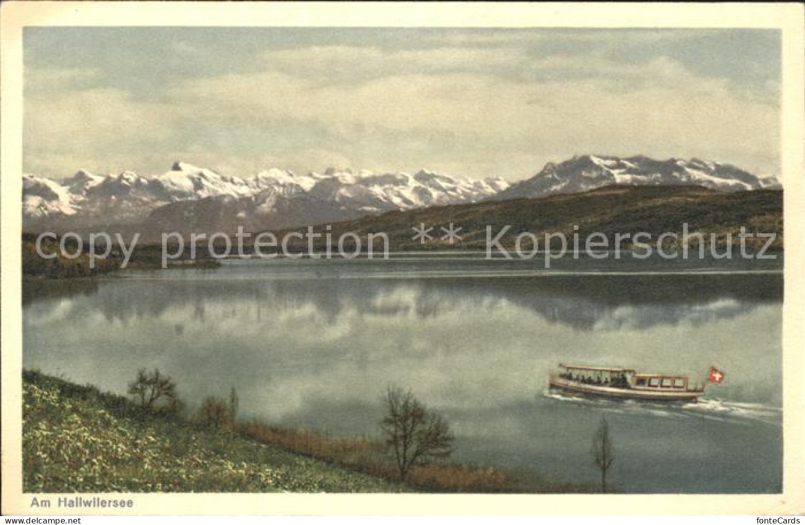 Hallwilersee Panorama Fahrgastschiff