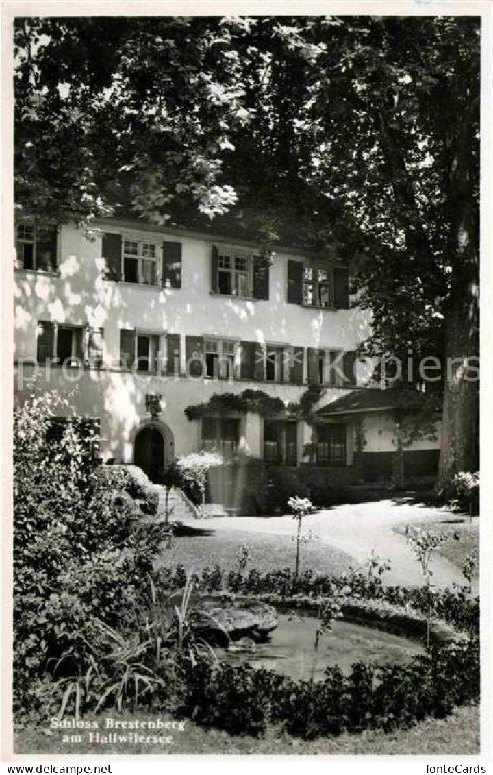 Hallwilersee Schloss Brestenberg