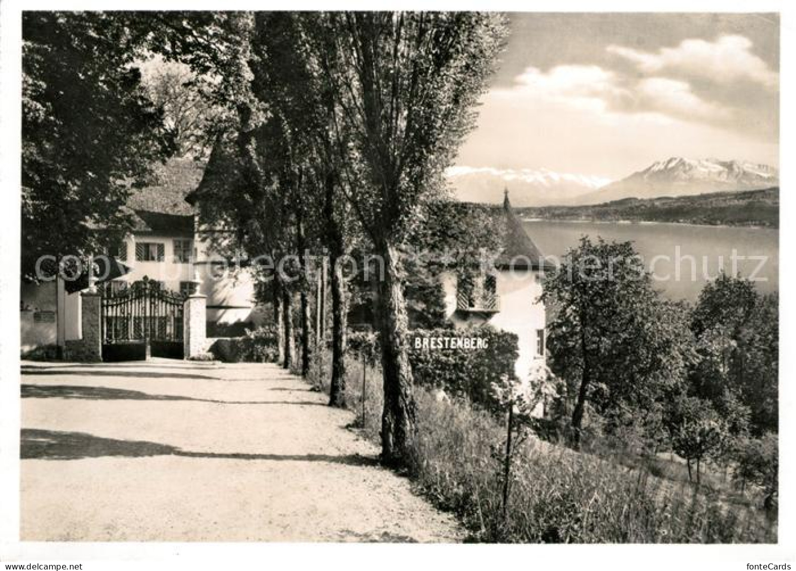 Hallwilersee Schloss Hotel Brestenberg