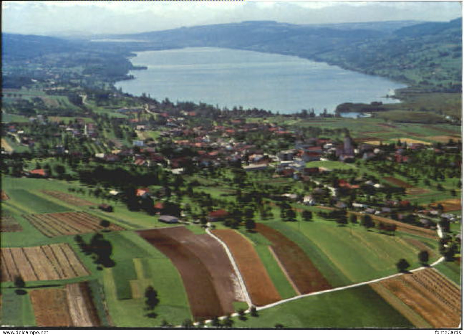 Hallwilersee  x 1979