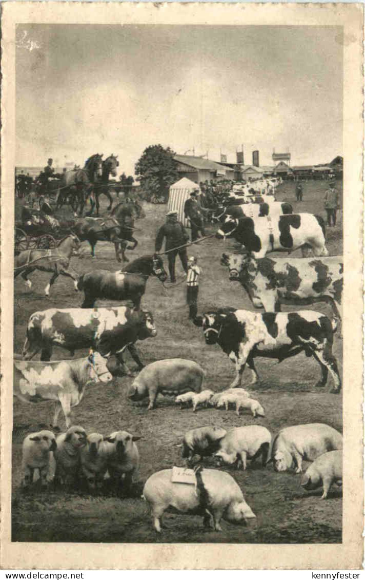 Hamburg - Altona - Ausstellung