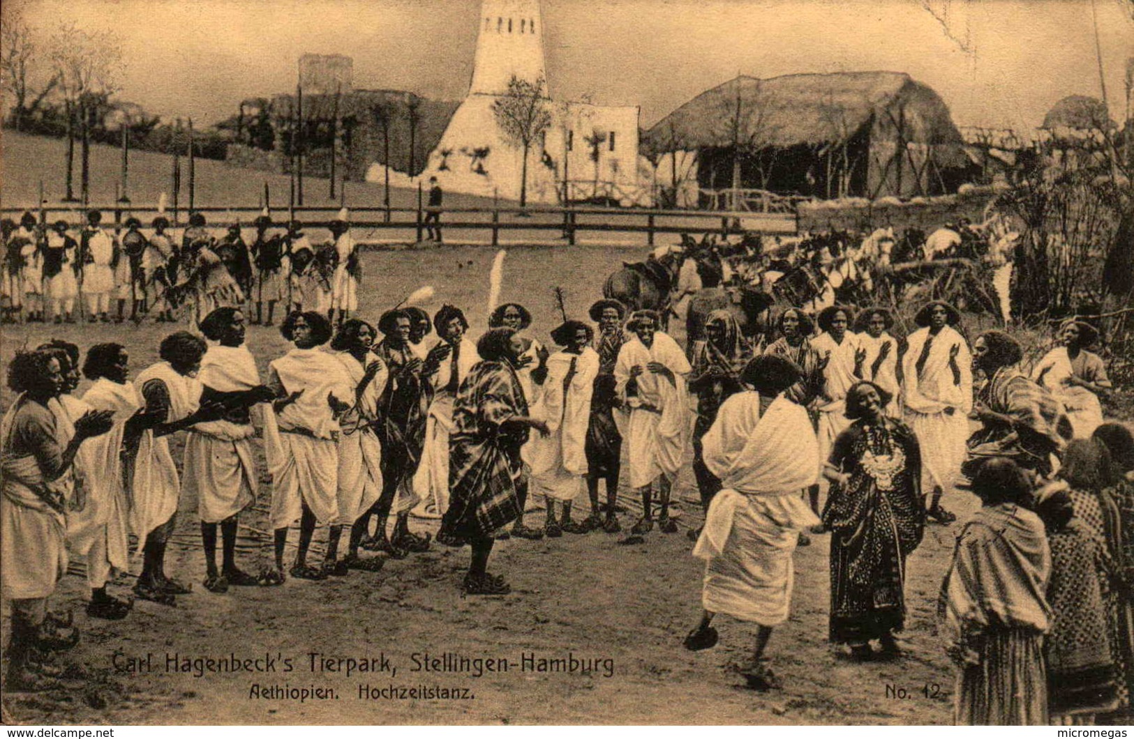 Hamburg - Stellingen - Carl Hagenbecks Tierpark - Aethiopien, Hochzeitstanz