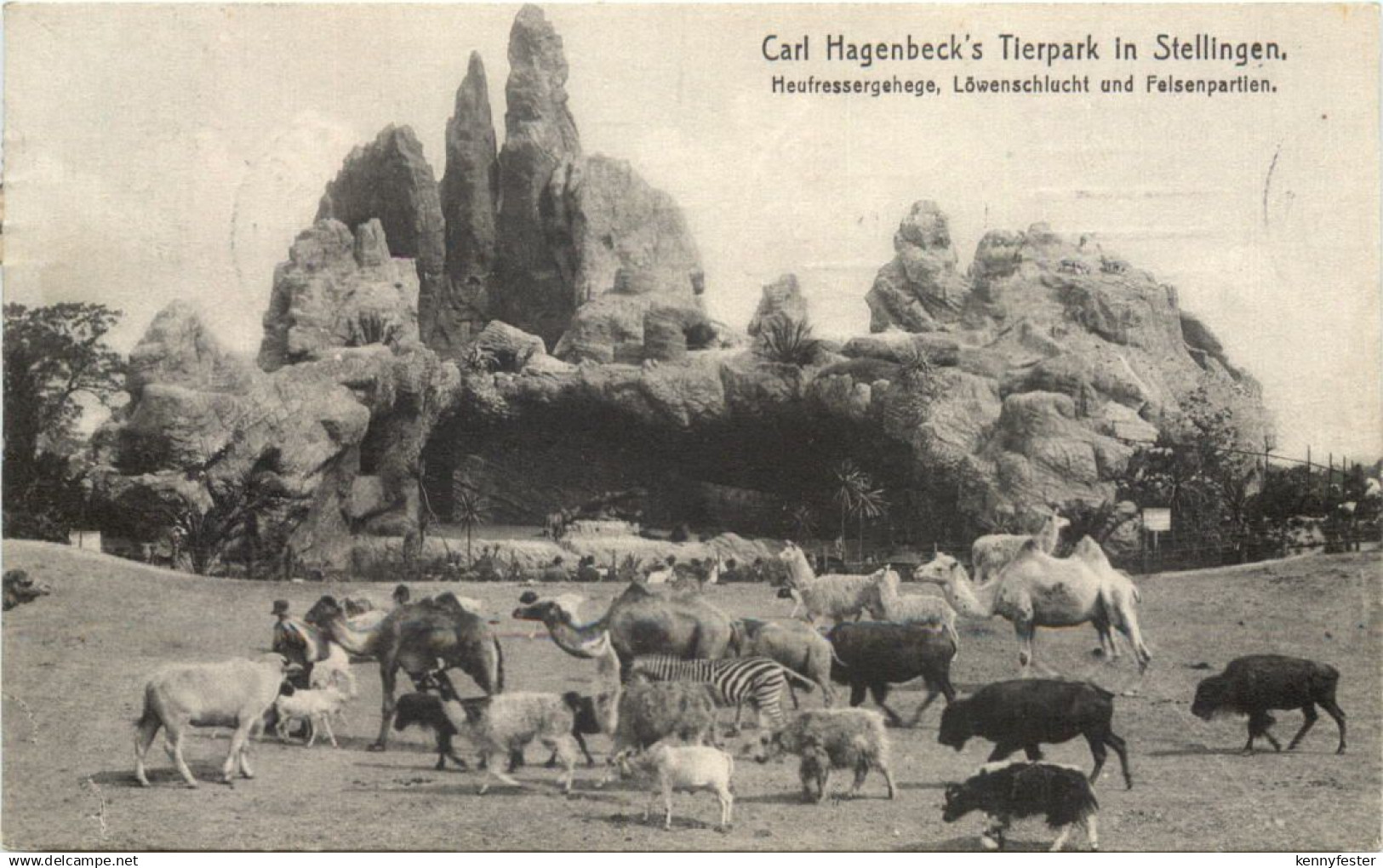 Hamburg-Stellingen - Carl Hagenbecks Tierpark - Heufressergehege