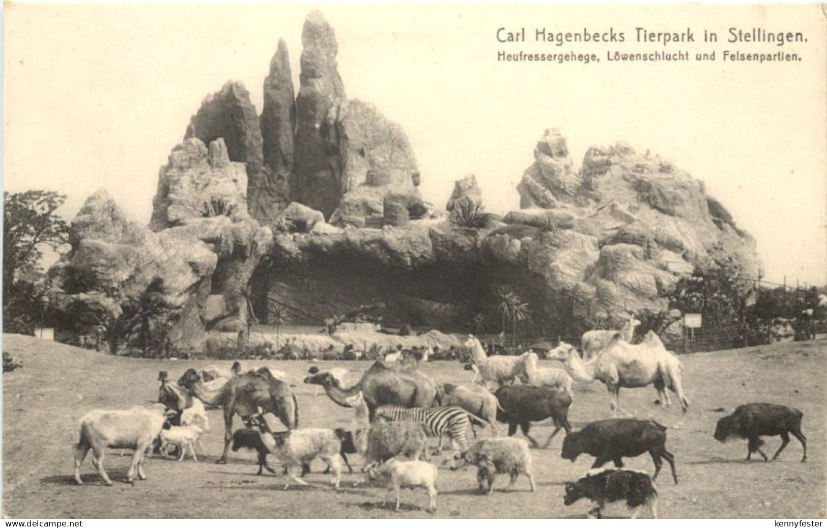 Hamburg-Stellingen - Carl Hagenbecks Tierpark - Heufressergehege