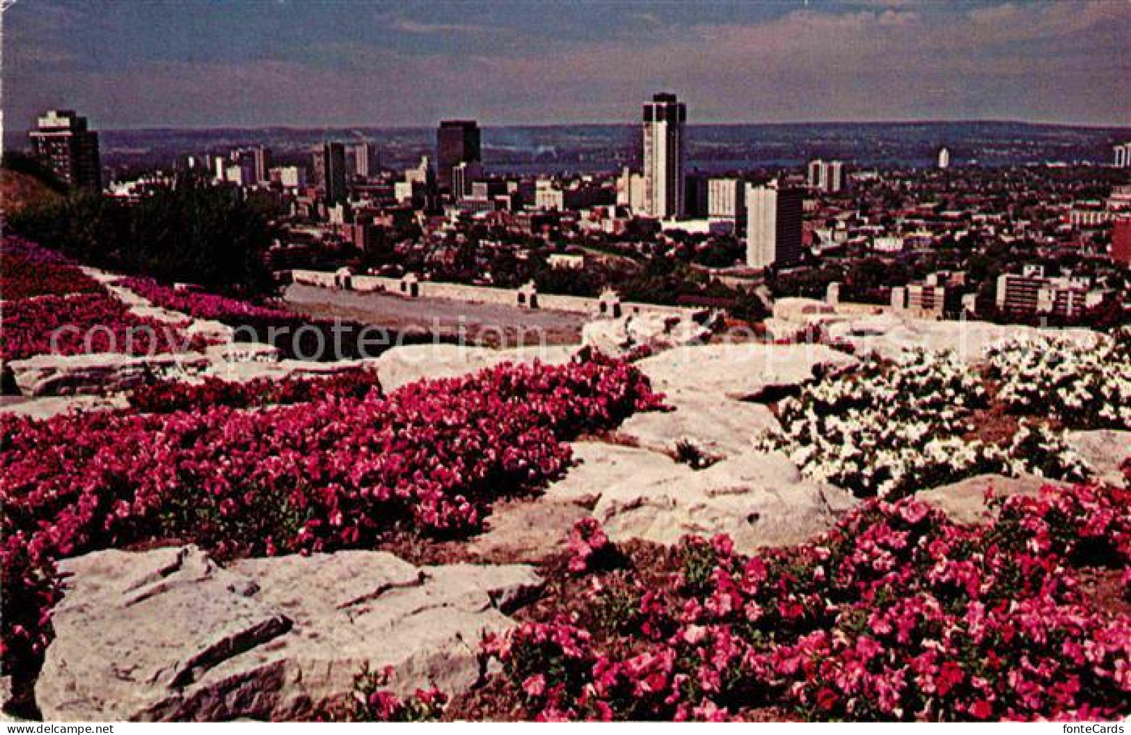 Hamilton Ontario Sam Lawrence Park overlooking Hamilton City