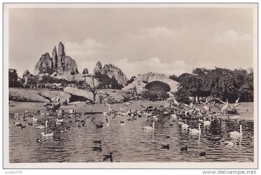 HAMLBOURG / Tierpark Hagenbeck / GROBER VOGELTEICH