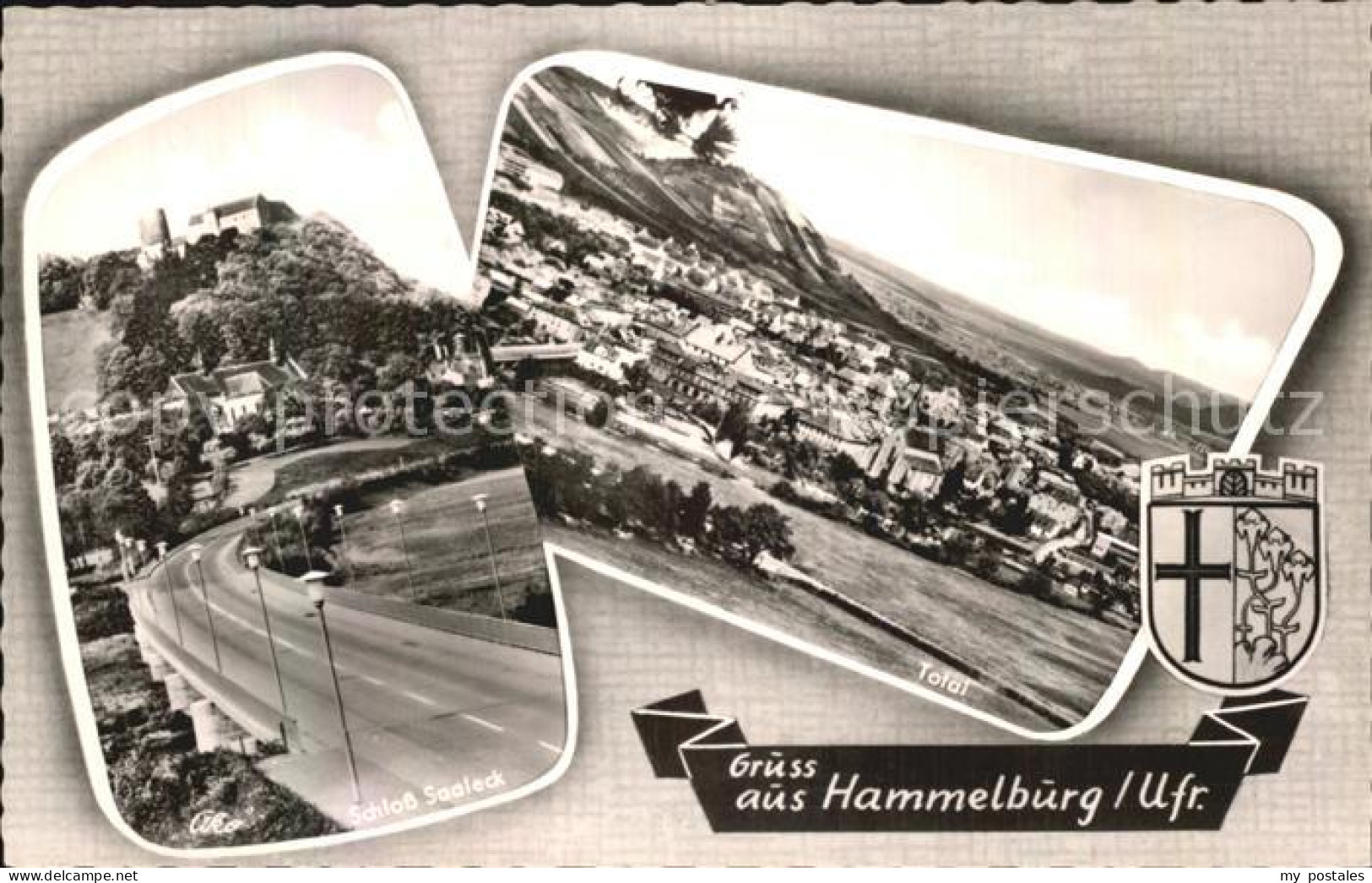 Hammelburg Schloss Saaleck Totalansicht