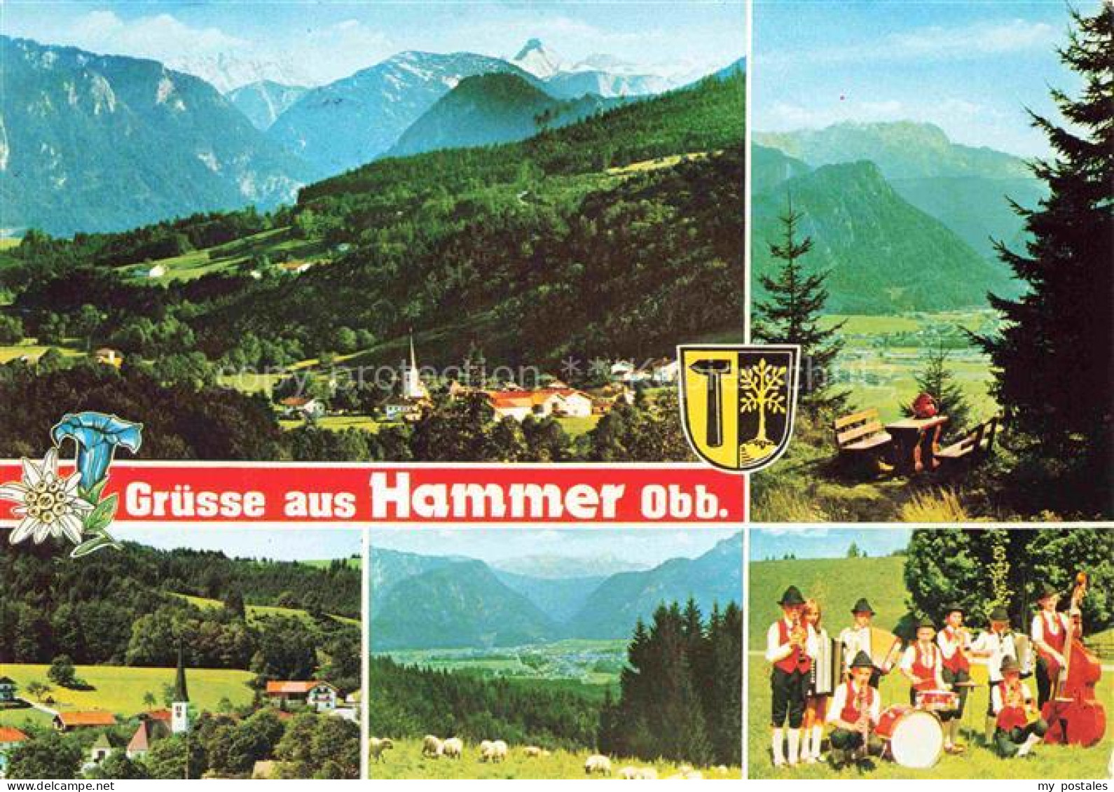 Hammer Schliersee Bayern Schliersee Bergpanorama Kirchturm Trachtenkapelle Schaf