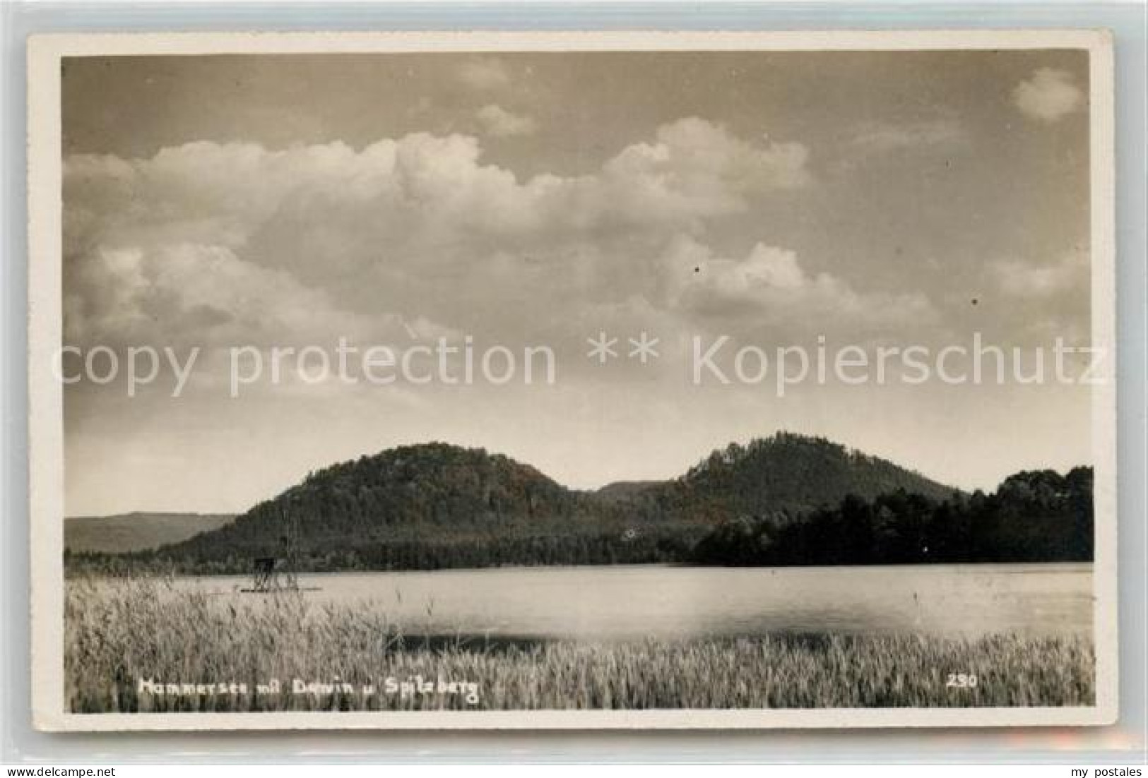 Hammer See Hammersee mit Darwin und Spitzberg