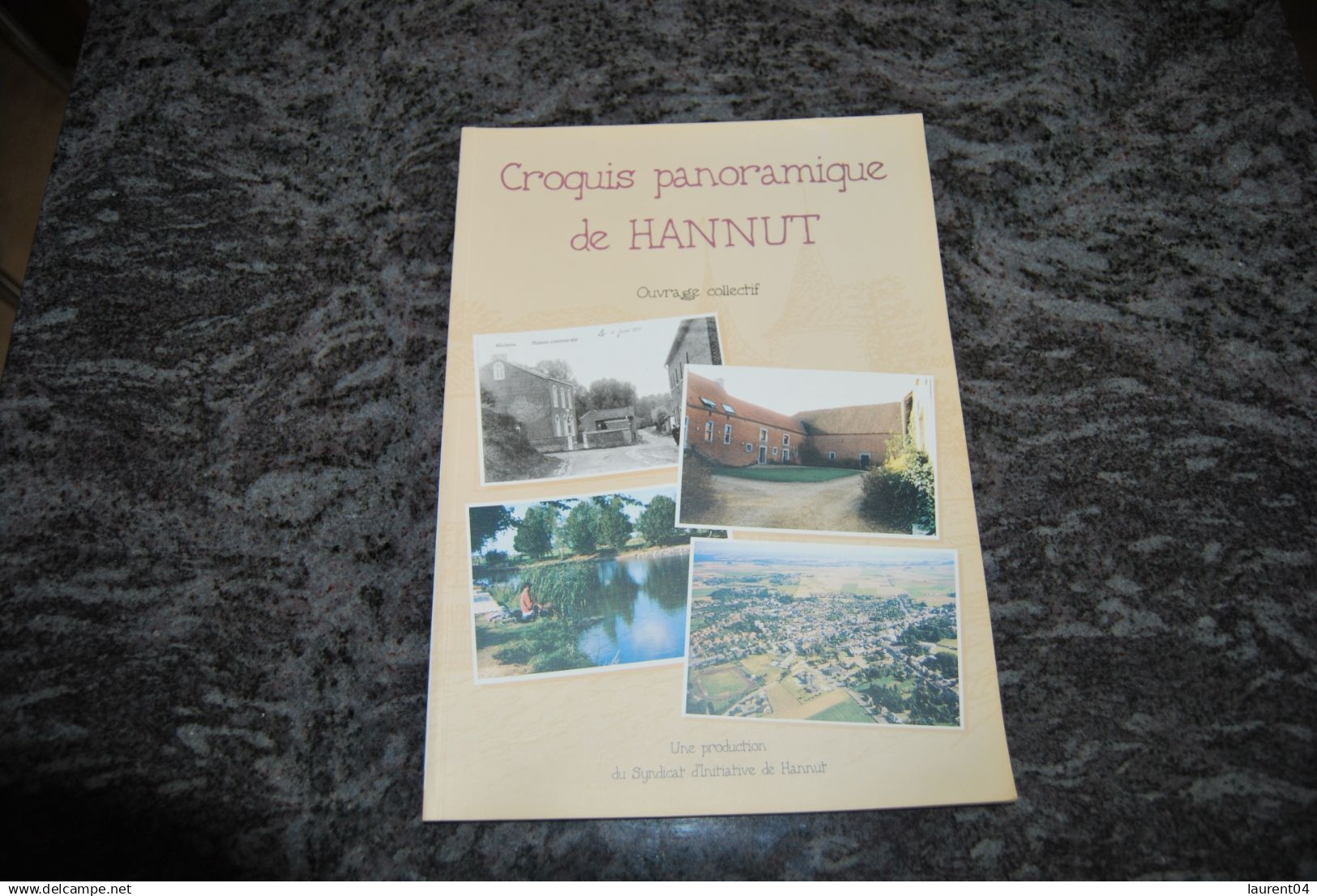 HANNUT. CROQUIS PANORAMIQUE DE HANNUT