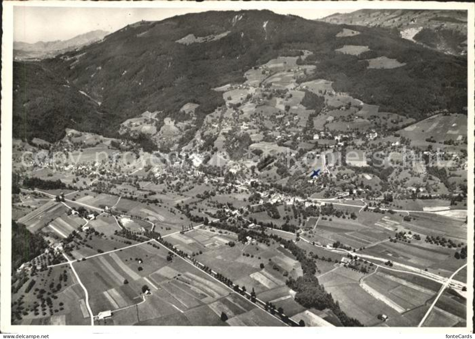 Hard Eichberg Fliegeraufnahme