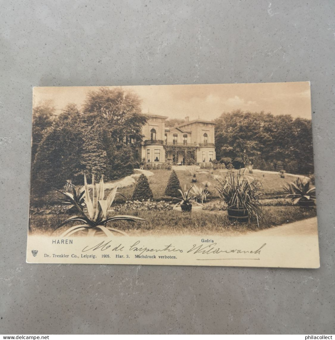Haren (Grn.) Gelria (niet standaard zicht) 1905?