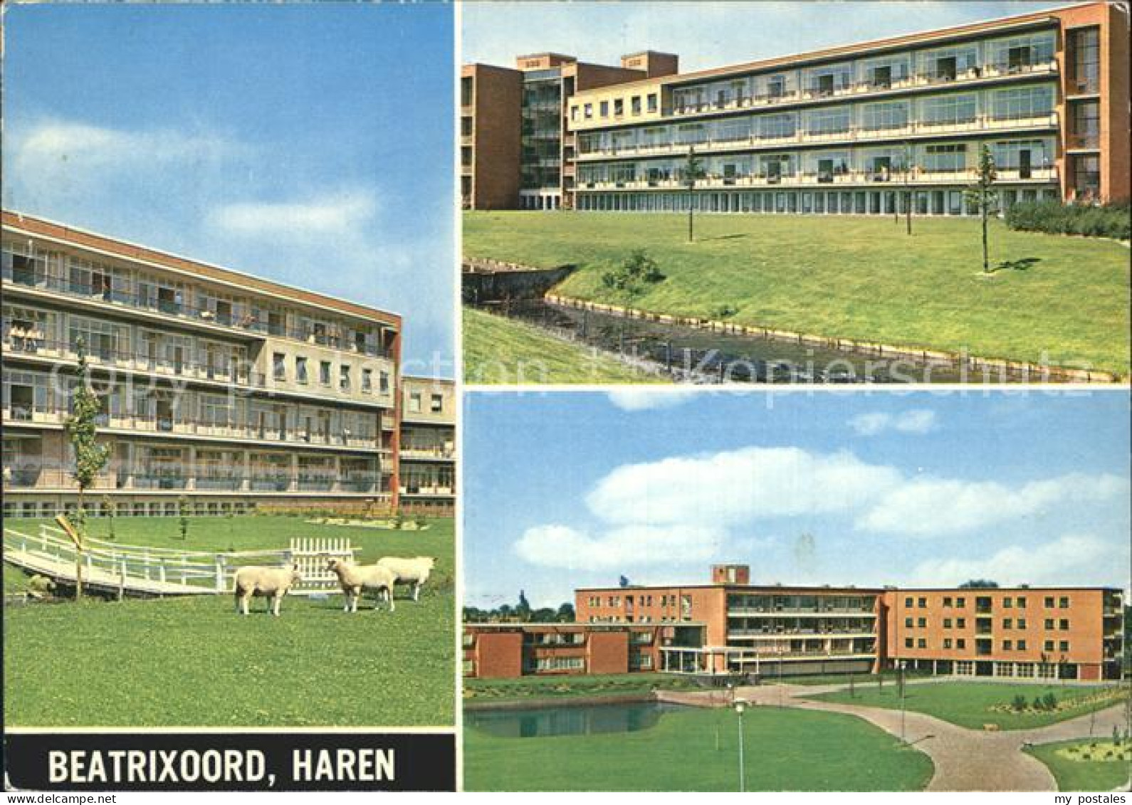 Haren Groningen Beatrixoord