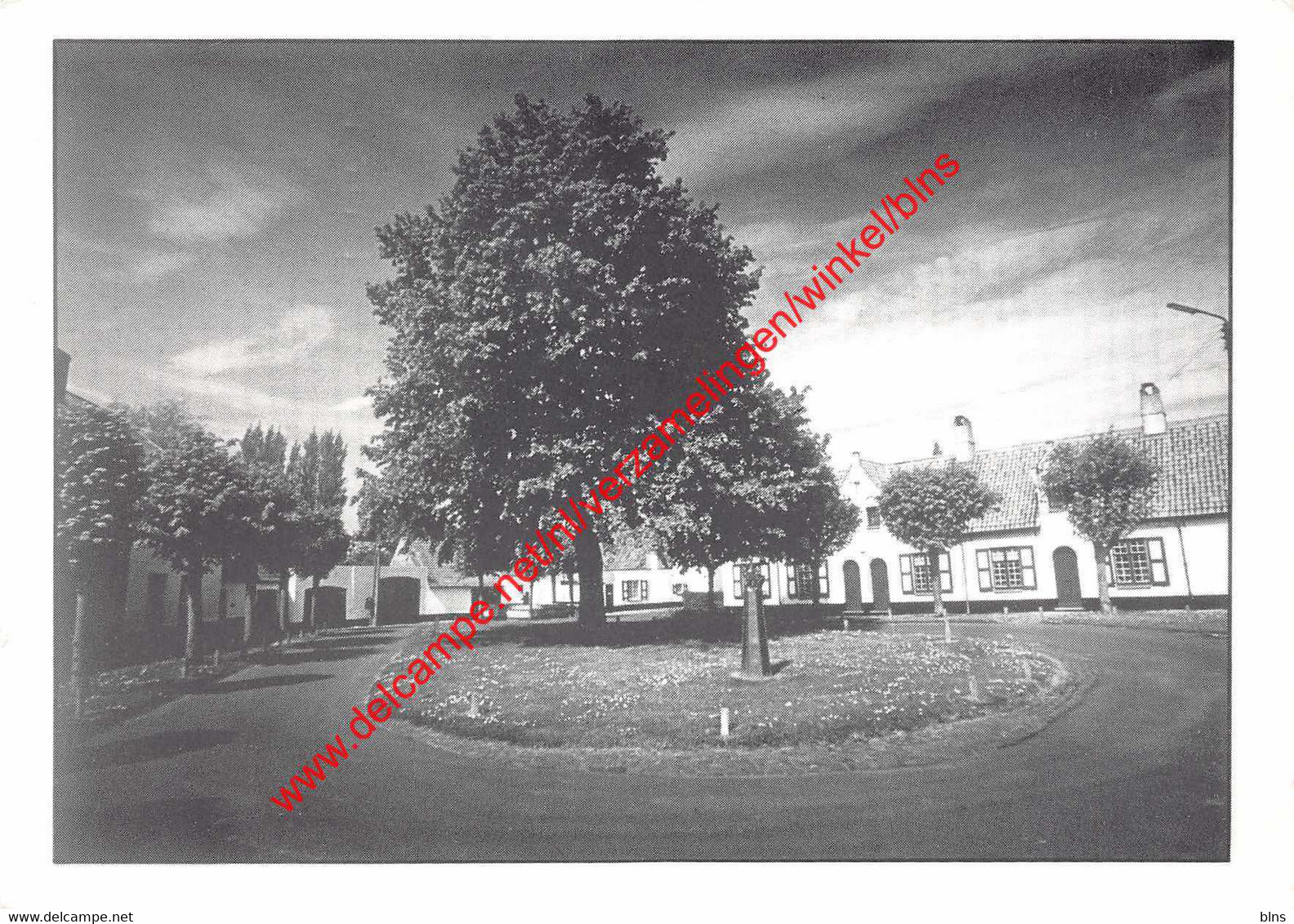 Haringmarkt - Damme