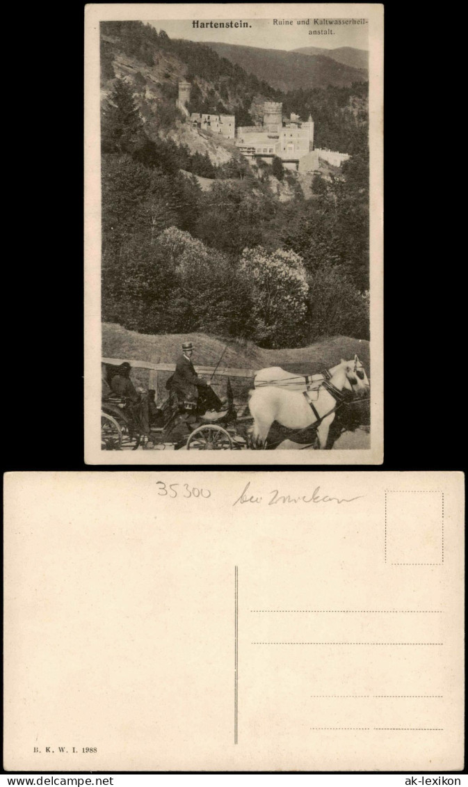 Hartenstein (Sachsen) Schloss Hartenstein, Pferde Fuhrwerk Kutsche 1920